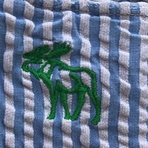 Abercrombie and Fitch Shorts